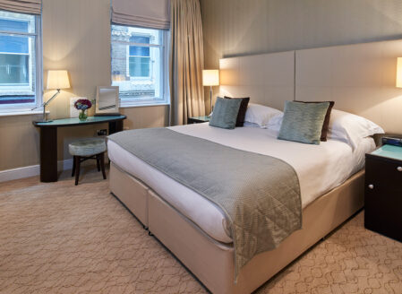 Deluxe One-Bedroom Apartment