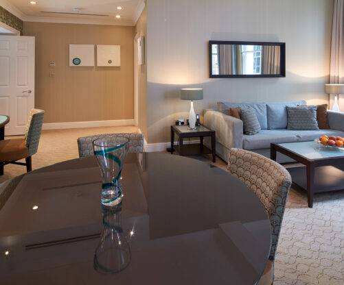 Deluxe One-Bedroom Apartment