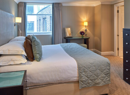 Deluxe One-Bedroom Apartment