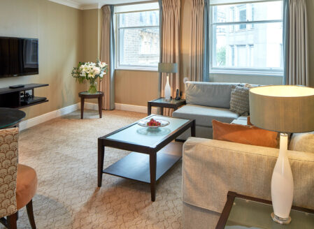 Deluxe One-Bedroom Apartment