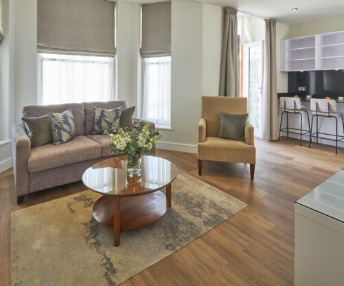 Superior One Bedroom Apartment