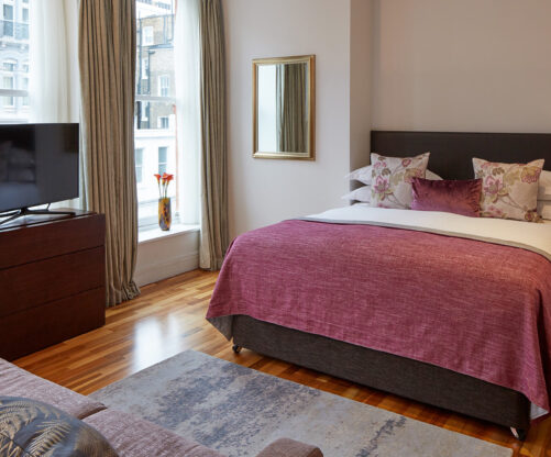 Superior One-Bedroom Open Plan