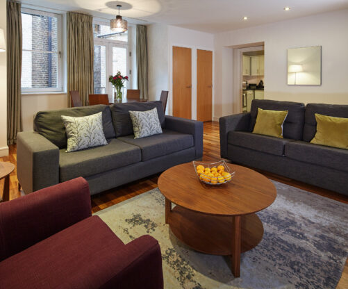 Luxury One Bedroom Apartment