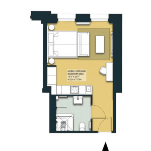 COTC_Deluxe-Open-Plan-type1