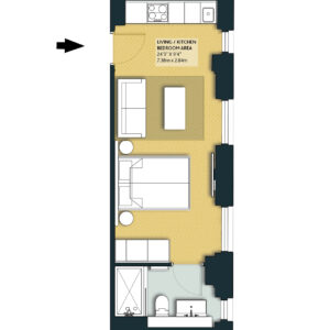 COTC_Deluxe-Open-Plan-type2