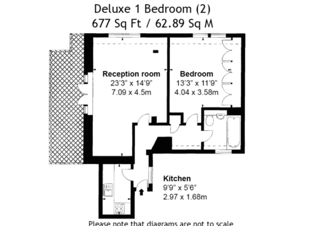 Deluxe One-Bedroom Apartment