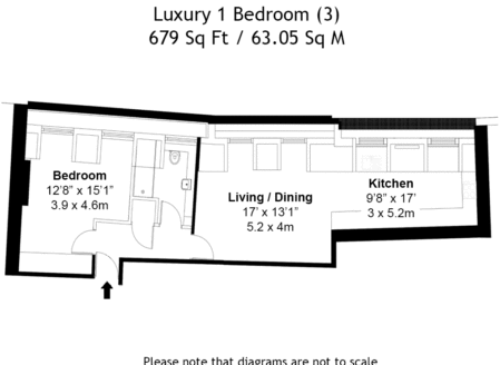 Luxury One-Bedroom Apartment