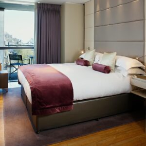 Luxury One Bedroom Apartment with Tower View
