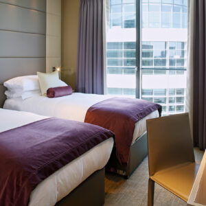 Superior Two Bedroom Apartment with Urban View