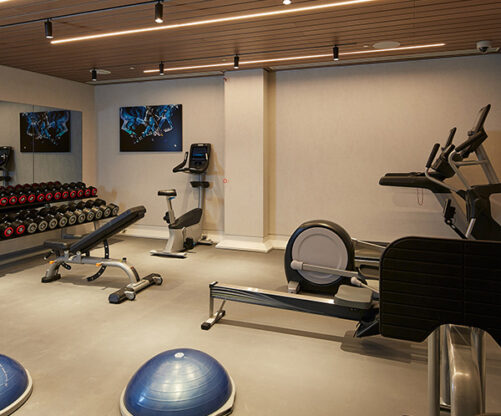 Fitness Suite