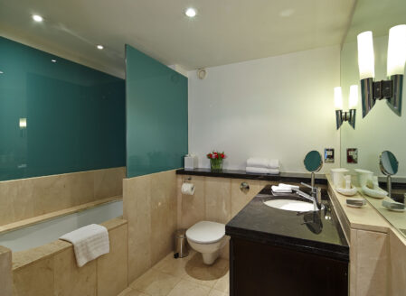 Interconnecting Two-Bedroom Apartments