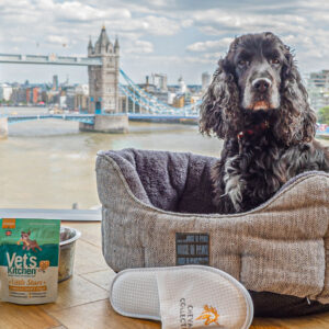 Pet pampering rates cheap