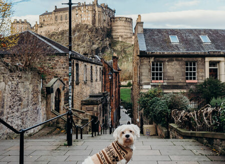 Pet Friendly - Edinburgh ©brianamoore