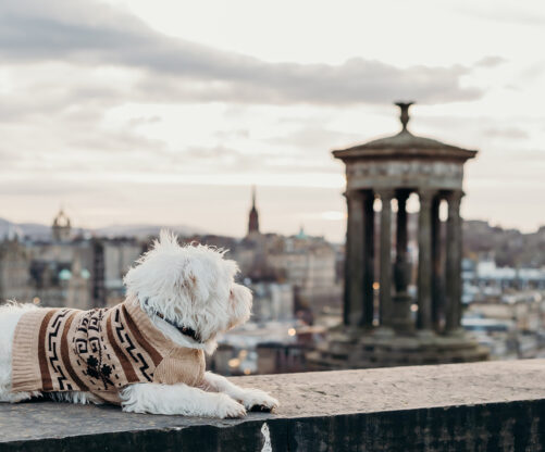 Dog Friendly Edinburgh