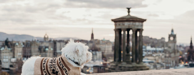 Pet-Edinburgh-TWQScotland©brianamoore-1211