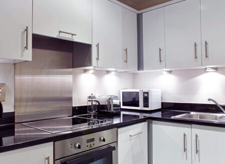 Kitchen - Luxury One-Bedroom Apartment