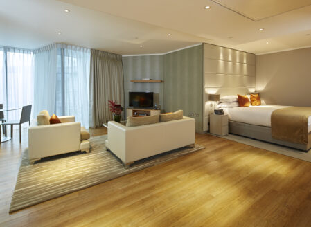 Luxury Open Plan Apartment