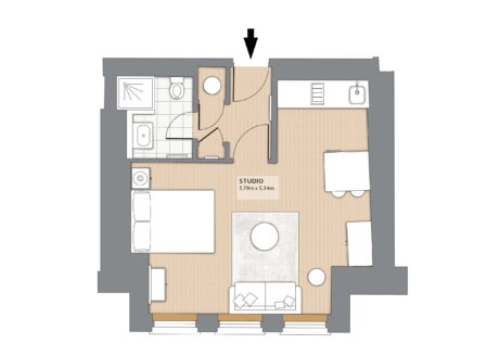 Superior Open Plan One-Bedroom with sofa bed, apartments 2E, 3E, 4E