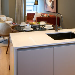 Deluxe One-Bedroom Apartment w/ Sofa Bed